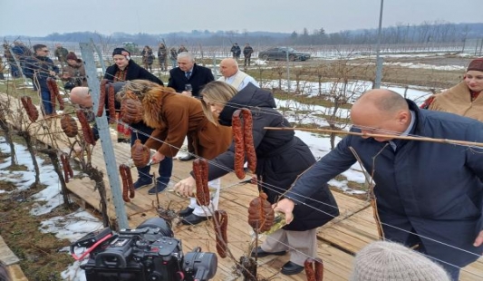 Sv. Vinko - Blagoslov vinograda na Banovu brdu