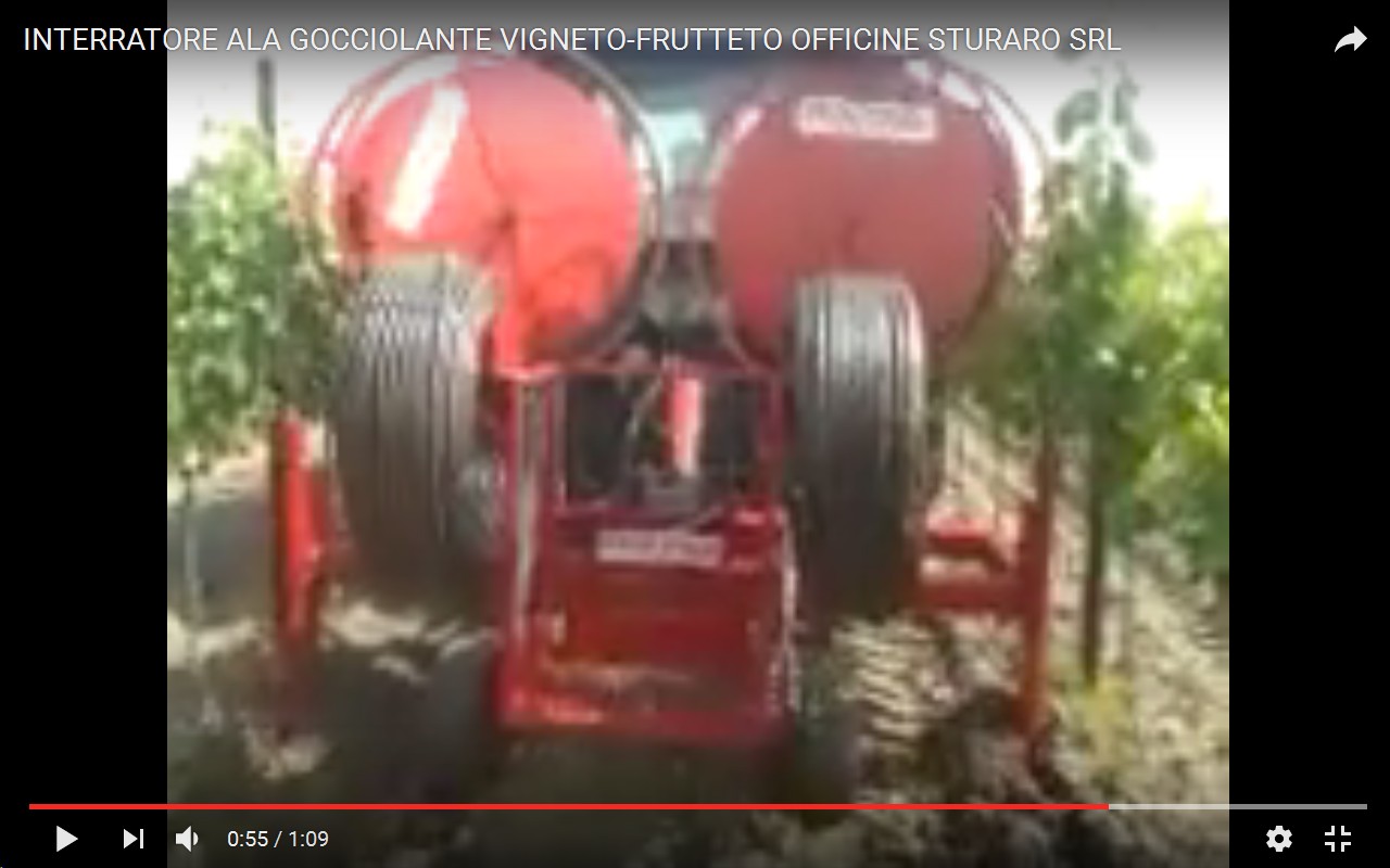 irigazione veneto u vinogradu