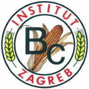 logo bc institut
