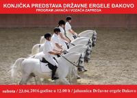 U subotu u đakovačkoj ergeli vrhunski konjički doživljaj