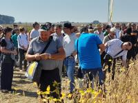 Poljoprivredni institut Osijek odu&scaron;evio u &Scaron;irokom polju