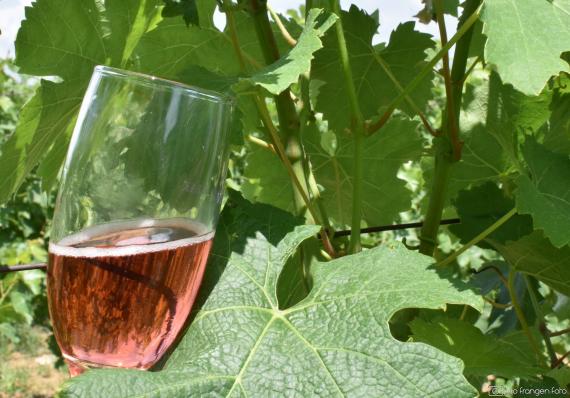 WINE &amp; BIKE TOUR ERDUT