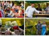 Vinogradi s pogledom